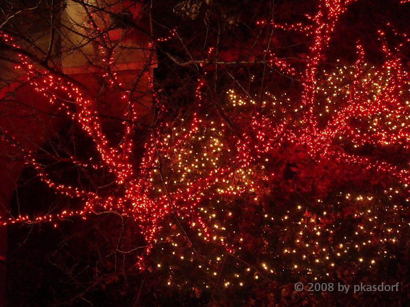 021 Toledo Zoo Light Show [2008 Dec 27].JPG - Scenes from the Toledo Zoo Light Show.